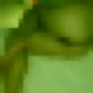 Juliette, 36 ans, veut un plan cul à Hilsenheim