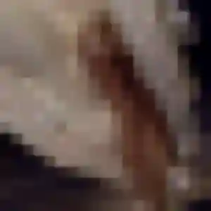 Rencontre Oriane, 27 ans à Houdain en privé