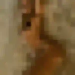 Photo exclusive de Nora, 35 ans à Houlgate - rencontre coquine