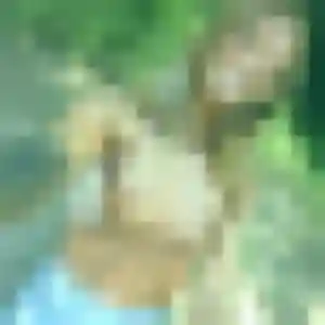 Photo sexy de Xena, 35 ans à Humbécourt - plan discret