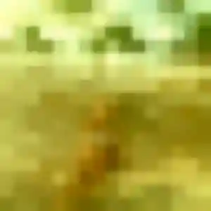 Photo privée de Therese, 34 ans à Hyères - rencontre coquine