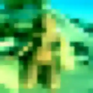 Sexy Camille, 38 ans à Illhaeusern - la contacter