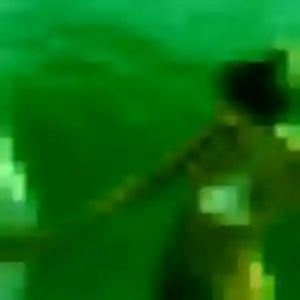 Sophie, femme de 22 ans propose plan cul à Illkirch-Graffenstaden