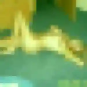 Ursule, 29 ans, en ligne à Inchy pour une rencontre coquine