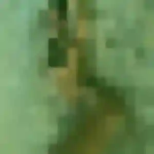 Nadia, 31 ans, disponible à Ingrandes pour une rencontre coquine