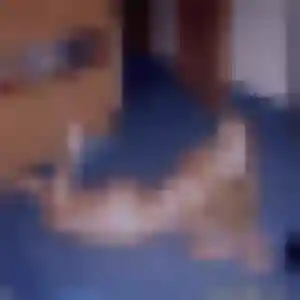 Erika, 38 ans, connectée à Isola pour une rencontre coquine