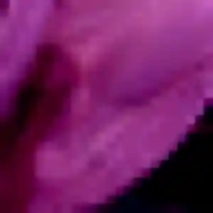 Mila, 34 ans, connectée à Joinville pour une rencontre coquine