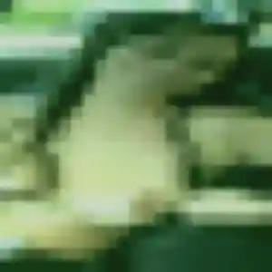Photo sexy de Axelle, 27 ans à Joncherey - rencontre sans lendemain