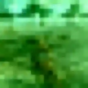 plan cul à Joze : photo de Thais, 33 ans - inscription gratuite