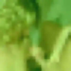 Photo privée de Gladys, 36 ans à Juliénas - rencontre sans lendemain