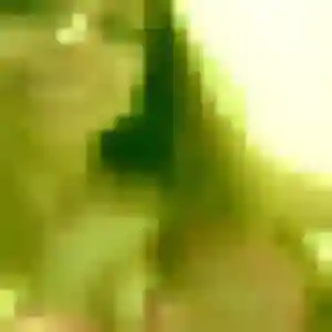 Vera, femme de 26 ans cherche plan cul à Jussy