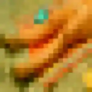 Giulia (27 ans) à Kertzfeld attend une rencontre rapidement