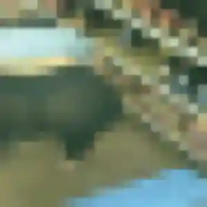Gaelle (33 ans) à Keskastel attend une rencontre ce soir