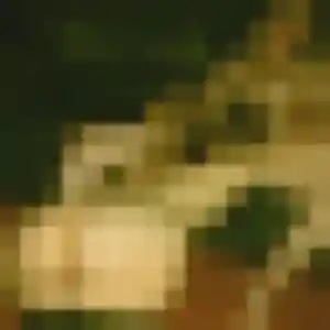 Photo de Anne-Sophie à Killem (45 ans) - plan cul anonyme