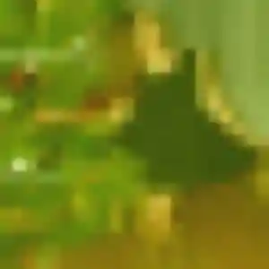 Charmante Blanche, 29 ans à Kurtzenhouse - la contacter