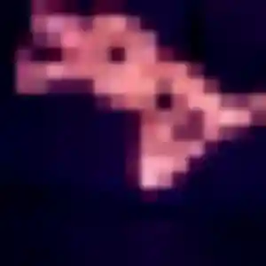 Sexy Charlotte, 24 ans à L'Isle-d'Abeau - découvrir son profil