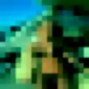 Photo de Louise à La Brigue (40 ans) - plan cul sans inscription