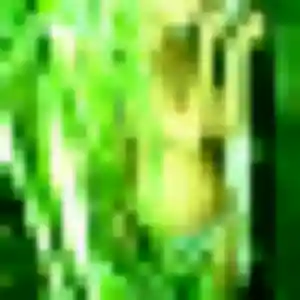 Jolie Tamara, 44 ans à La Cavalerie - la contacter