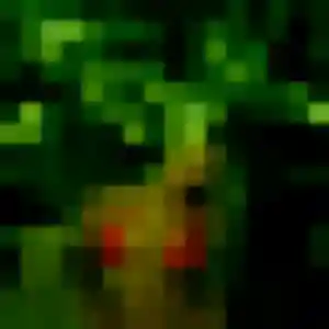 Découvre Daniela, 27 ans à La Chapelle-sur-Erdre en privé