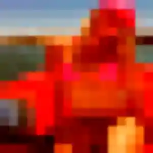 Eglantine, femme de 34 ans propose plan cul à La Chapelle-sur-Erdre