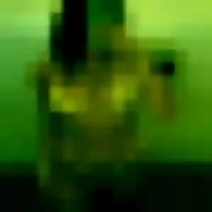 Photo perso de Samira, 32 ans à La Ferrière - rencontre coquine