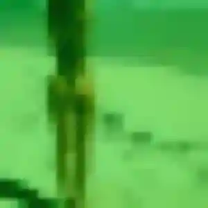 Julie (34 ans) à La Madeleine attend un plan cul aujourd'hui