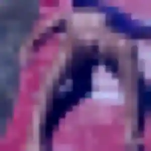 Photo de Natasha à La Palme (25 ans) - plan cul anonyme