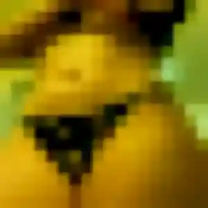 plan cul à La Penne-sur-Huveaune : profil de Salima, 44 ans - accès libre