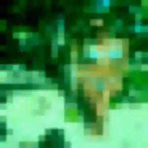 Profil de Flavie à La Petite-Pierre (26 ans) - plan cul sans inscription