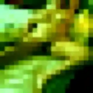 Sexy Constance, 35 ans à La Rabatelière - la contacter