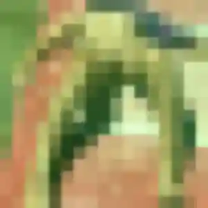 Bianca, 24 ans, connectée à La Rivière pour une rencontre coquine