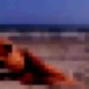 Idalina, 31 ans, dispo pour plan cul à La Selve