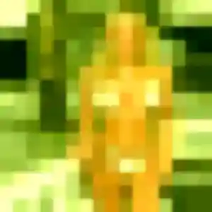 Gladys de La Sône, 44 ans - plan cul en toute liberté