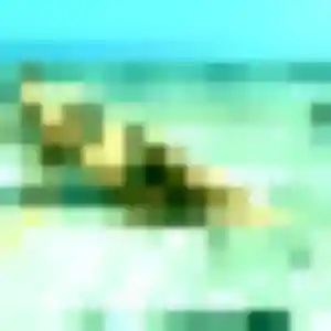 Photo perso de Cecile, 32 ans à La Tour-en-Jarez - rencontre coquine