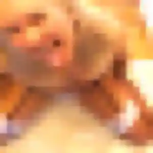 Photo de Marie-Jeanne à La Valette-du-Var (37 ans) - plan cul discret