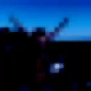 Lily, 33 ans, dispo pour plan cul à La Verpillière