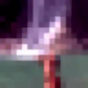 Découvre Tamara, 36 ans à Languidic en t'inscrivant