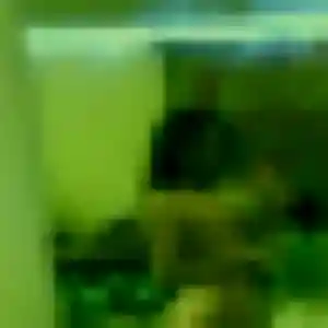 Profil de Eva à Lansac (43 ans) - plan cul sans inscription