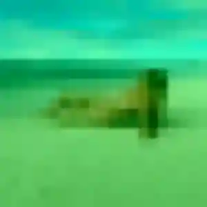 Photo de Mila à Lansargues (33 ans) - plan cul discret