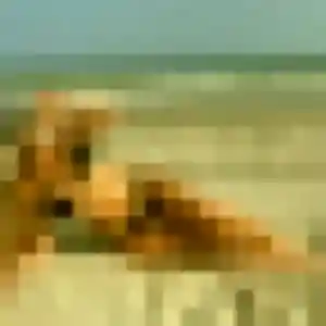 Victoire, 28 ans, dispo pour plan cul à Lansargues