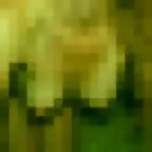 Profil de Charlotte à Lanton (44 ans) - plan cul anonyme