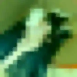 Photo de Bertille à Laroquebrou (38 ans) - plan cul gratuit