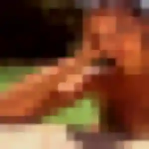 Photo perso de Marie, 22 ans à Lauret - rencontre coquine