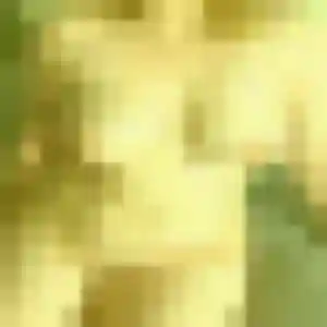 Charmante Priscilla, 41 ans à Laval-sur-Vologne - voir sa photo
