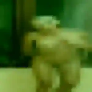 Photo de Delphine à Lavardin (35 ans) - plan cul anonyme