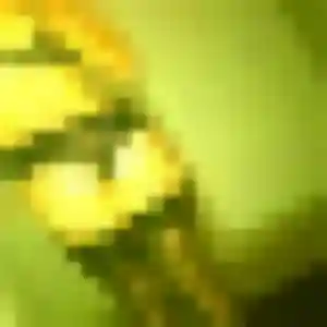 Romane (29 ans) à Laveyron cherche un plan cul aujourd'hui