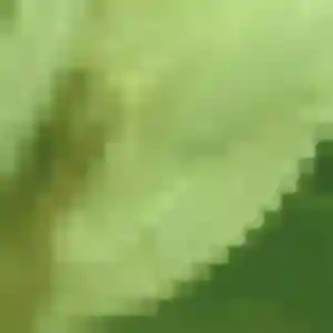 Lily de Le Barroux, 29 ans - plan cul discret