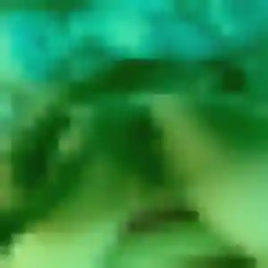 Photo exclusive de Yasmine, 31 ans à Le Barroux - rencontre sans lendemain