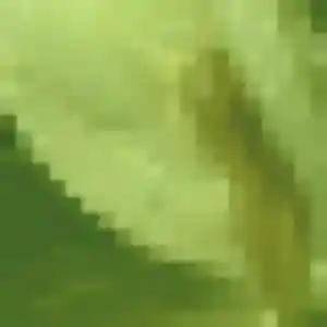 Charmante Gilberte, 41 ans à Le Bourget - découvrir son profil