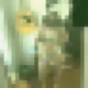 Photo perso de Thais, 35 ans à Le Cellier - rencontre sans lendemain